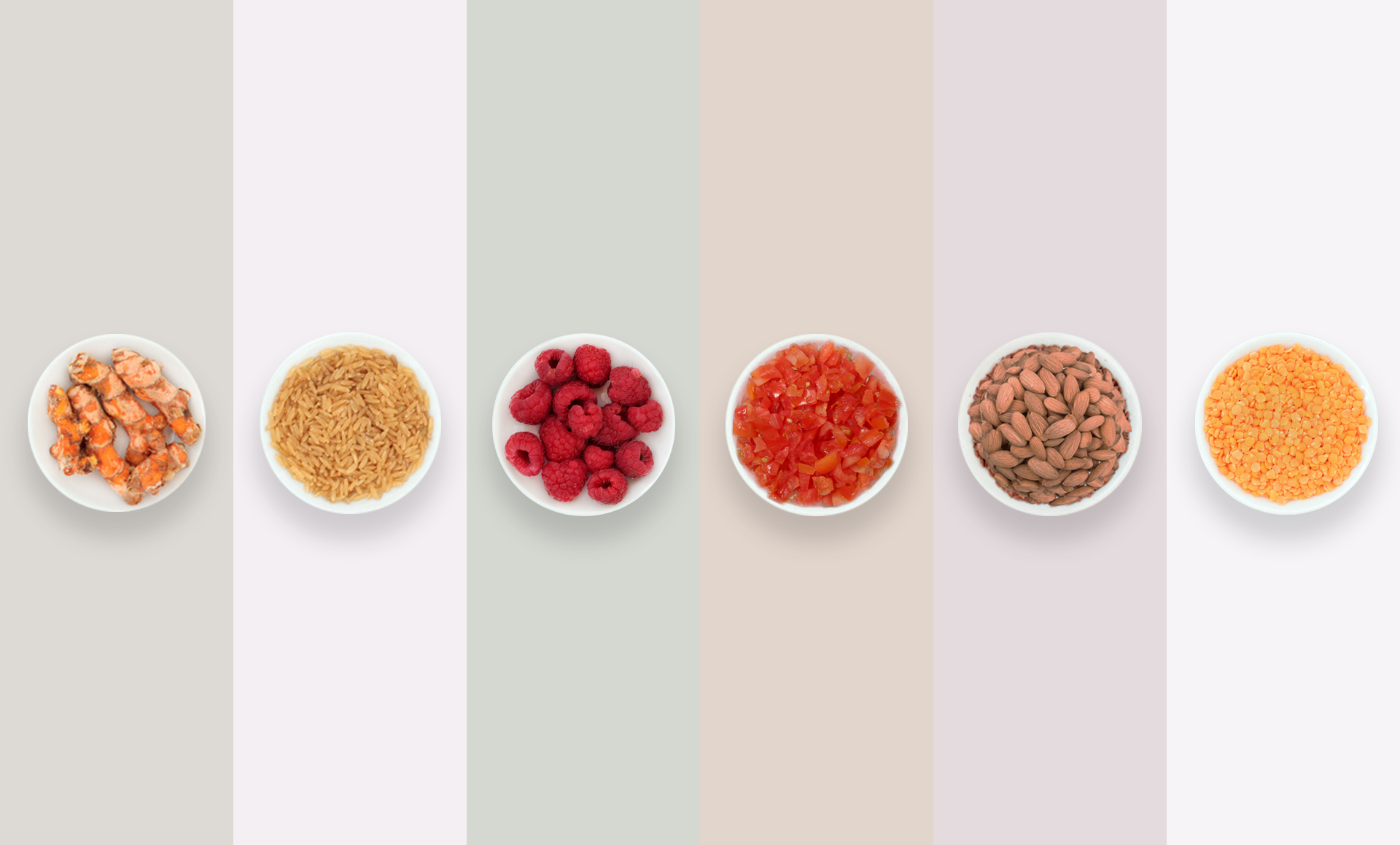 6 Types of Superfoods for Boosting Your Immune System